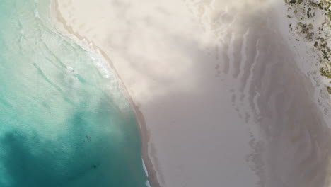 Top-down-aerial-view-cloudy-shadows-passing-South-Africa-paradise-sandy-beach-below