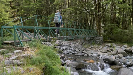 Pan,-hiker-crosses-bridge-over-rocky-creek,-Fiordland,-Kepler-Track-New-Zealand