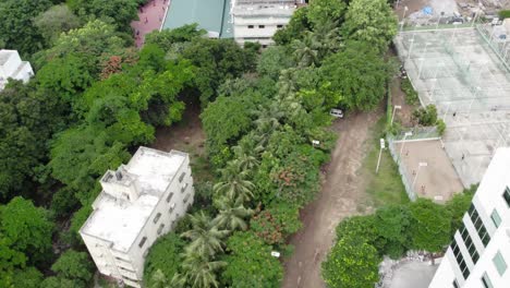 Mini-árboles-Forestales-Y-Edificios-En-El-Corredor-De-Chennai.