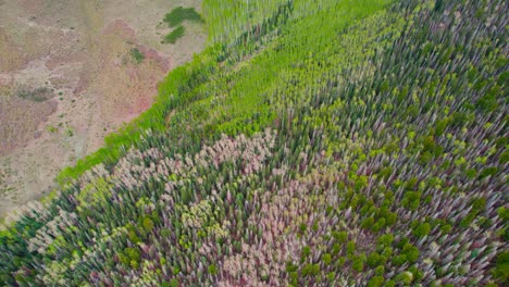Luftdrohnenaufnahme,-Die-An-Sommertagen-In-Der-Nähe-Von-Telluride,-Colorado,-USA,-über-Einen-Felsigen-Berglandschaftshügel-Fliegt,-Der-Mit-Farbenfrohen-Grünen-Espen--Und-Kiefernbäumen-Bedeckt-Ist