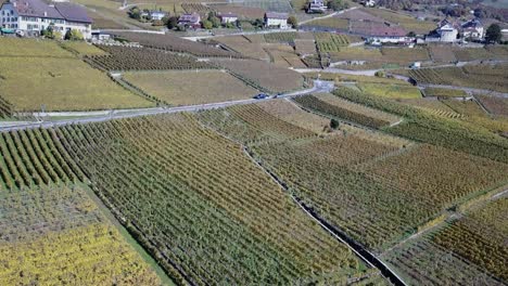 A-car-drives-on-a-road-in-the-lavaux-vineyards,-Vaud,-Switzerland,-drone-aerial-view
