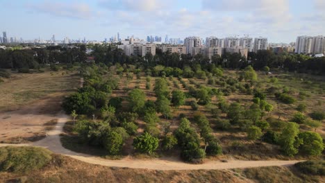 Vista-Aérea-Mirando-A-Través-Del-Parque-De-La-Independencia-Hacia-El-Horizonte-De-La-Ciudad-De-Tel-Aviv