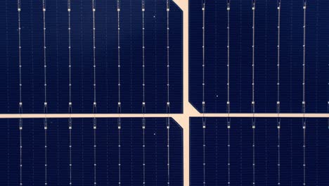 Array-of-solar-panel-cells,-top-down-motion-view