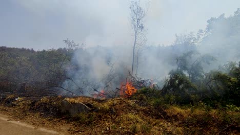 Incendio-Forestal-Ardiendo-Al-Costado-De-La-Carretera