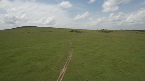 Cheetah-chasing-down-some-gazelles-in-Maasai-Mara,-Kenya