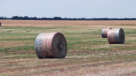 American-flag-wrapped-hay-bales-in-the-field-waiting-to-be-picked-up-and-by-the-ranch-hands