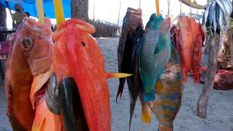 A-variety-of-freshly-caught-colourful-tropical-marine-reef-fish-hanging-on-a-market-stall-on-the-remote-tropical-Atauro-Island,-Timor-Leste-Southeast-Asia