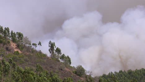 Starke-Rauchentwicklung-Bei-Einem-Waldbrand-In-Den-Portugiesischen-Bergen