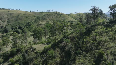 Vuelo-Lento-Hacia-Adelante-Sobre-El-Verde-Paisaje-De-Bosque-Rural-De-República-Dominicana-Y-Haití-Detrás-De-La-Frontera-Montañosa-Durante-El-Día-Soleado