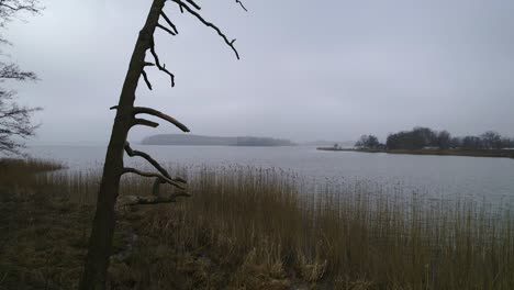 Drone-flight-at-a-foggy-german-lake