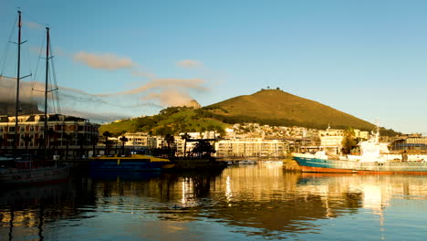 Seal-swims-in-marina-at-V+A-Waterfront,-Signal-Hill-in-background