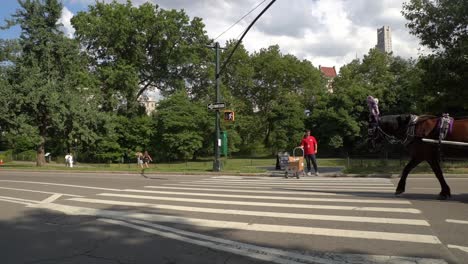 Slow-motion-footage-of-cyclists-riding-in-the-Central-Park