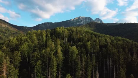 Hermoso-Paisaje-De-Verano-De-Verdes-Colinas-Y-Montañas-Tatra-Toma-Aérea