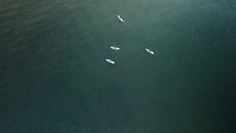 Recreational-water-users-riding-Standup-Paddleboards-enjoy-the-beautiful-Baltic-sea-near-Orlowo-pier-in-Gdynia