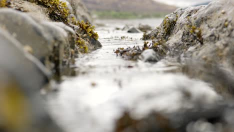 Gentle-ocean-waves-lap-against-rocks,-rushing-into-focus-as-they-are-forced-through-a-narrow-gap-in-the-rocks-towards-the-camera-which-is-focused-on-seaweed-filled-rockpools