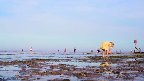 Little-girl-picking-shells-on-the-beach-during-sunset,-slow-motion