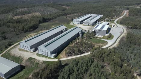 Aerial-view-of-one-of-the-biggest-chickens-aviary-in-Proença-a-Nova-Portugal
