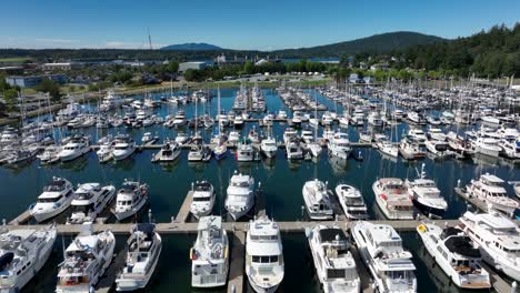 Aerial-view-flying-straight-over-many-docked-boats-in-a-marina