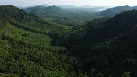 Aerial-of-rainforest-and-tropical-environment-in-Koh-Yao-Noi,-Thailand
