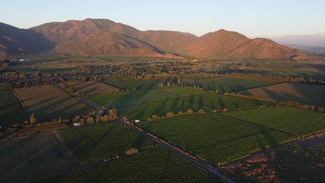 The-drone-image-shows-a-vineyard-in-the-central-region-of-Chile