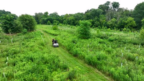 Aerial-tracking-shot-of-teenagers-driving-ATV-in-grassy-swampland