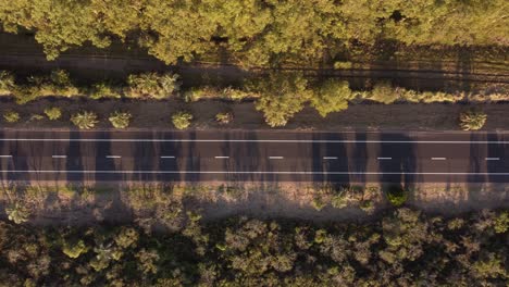Aerial-top-down-of-car-driving-on-asphalt-road-in-rural-area-with-golden-trees-at-sunset