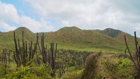 Lush-Curacao-countryside-with-green-hills-and-cactus-landscape,-cloudy-day