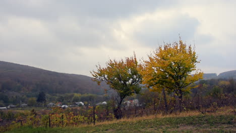 Die-Kamera-Schwenkt-Nach-Links-Und-Blickt-Auf-Herbstblätter-An-Einem-Baum-Und-Hügel-Im-Hintergrund