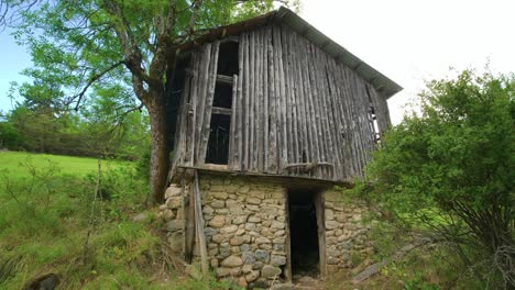 A-woman-walks-into-an-old-abandoned-stone-shack-in-the-middle-of-a-forest