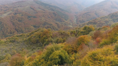 Aerial,-flying-over-the-thick-woods-of-autumn-trees-in-the-hills-of-the-Balkans