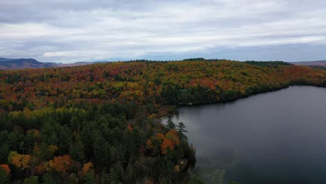 Aerial-slide-to-left-over-shore-of-pond-in-northern-maine-in-autumn