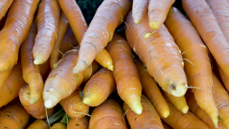 Frische-Karotten-Werden-Auf-Der-Kostenlosen-Messe-Zum-Verkauf-Angeboten