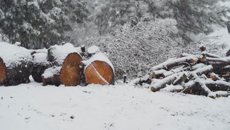 Still-shot-of-snowfall-blanketing-cut-wood-pile,-logs-and-branches-from-fallen-tree-in-winter