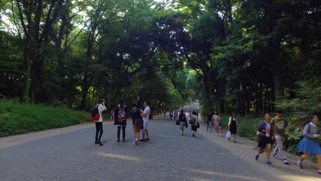 POV,-Meiji-Shinto-Shrine-entrance-walking