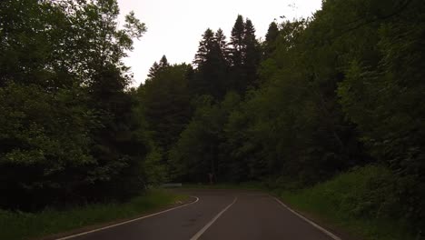 Drive-down-Bucegi-mountains-on-a-winding-road-through-a-forest