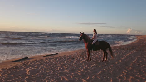 Girl-in-white-on-horse-sitting-on-a-beach,-4k