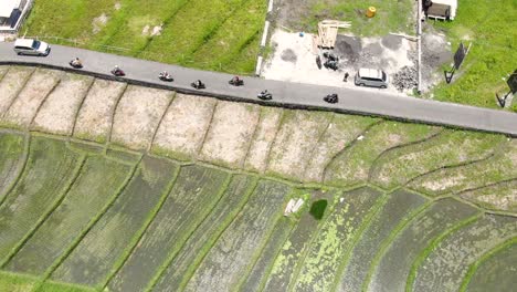 aerial-drone-shot-of-countryside-highway-of-electric-scooter-convoy-alongside-empty-rice-fields-on-a-bright-sunny-day-in-Canggu-Bali-Indonesia