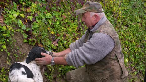 A-man-give-treats-and-pets-his-dog-as-they-hunt-for-truffles-in-the-Italian-woods-to-use-in-gourmet-cooking