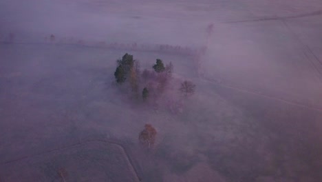 Aerial-footage-of-a-group-of-trees-in-a-landscape-park-in-Lower-Silesia,-Poland