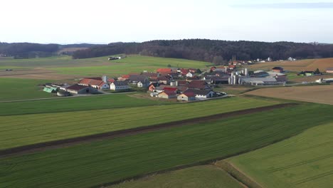 Traditional-village-in-central-Europe,-aerial-view-of-Levanjci,-Slovenia,-with-farms-surrounded-by-fields-and-pastures-for-cattle