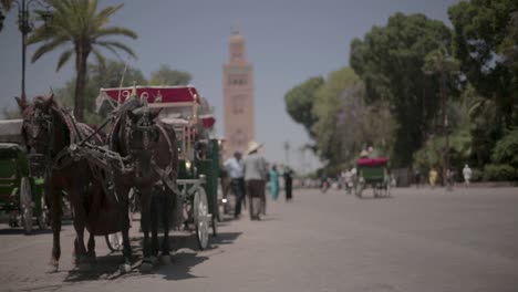 Eine-Kutsche-In-Marrakesch-Mit-Der-Al-Koutoubia-Moschee