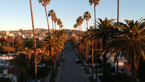 Fly-through-palm-tree-lined-street-in-the-morning-in-Beverly-Hills