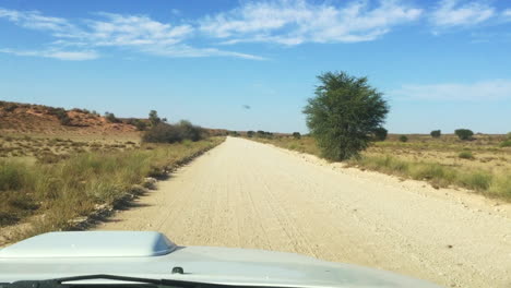 Der-Blick-Auf-Die-Unbefestigten-Straßen-Der-Kalahari-Durch-Ein-Safarifahrzeug-Im-Kgalagadi-Transfrontier-Park-An-Einem-Normalen-Tag