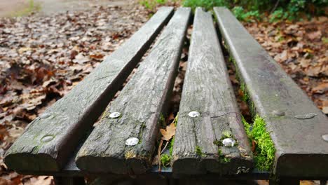 Schwenk-über-Einen-Holzbalkensitz-Im-Parkbereich-Mit-Herbstlichen-Blattfarben