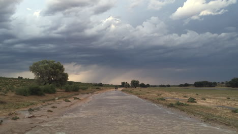 Der-Blick-Aus-Einem-Safarifahrzeug-Auf-Den-Regen-Und-Die-überschwemmungen-Entlang-Der-Sandstraßen-Der-Kalahari-Im-Kgalagadi-Transfrontier-Park