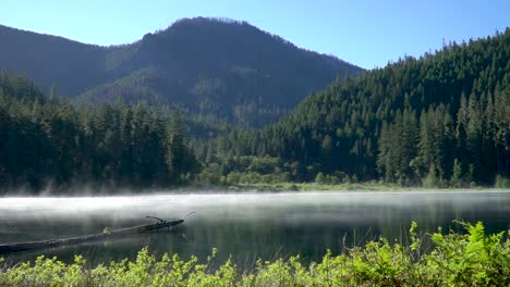 Steam-coming-off-a-wild-lake,-panning-left-to-right