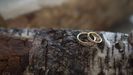 Wedding-rings-on-top-of-a-wooden-log-with-smoke-blowing-in-4K