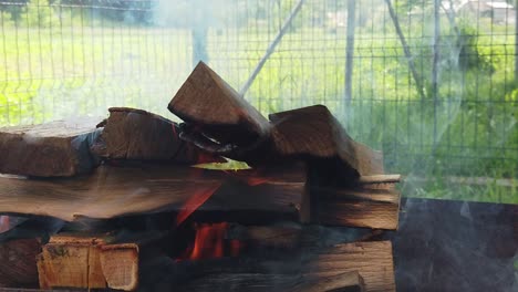 Burning-wood-logs-for-a-barbecue