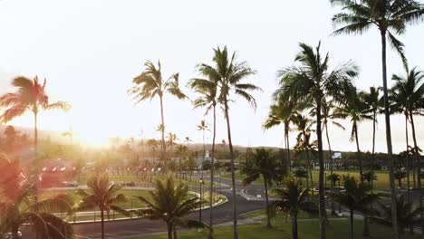 Drohnenaufnahme-Aller-Palmen-Auf-Dem-Campus-Der-Brigham-Young-University-Hawaii-Während-Der-Sonnenuntergangsstunden