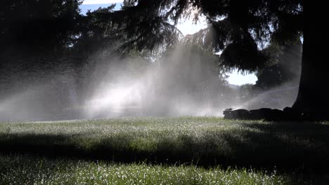 Sunrise-through-sprinklers-in-the-suburbs---tilted